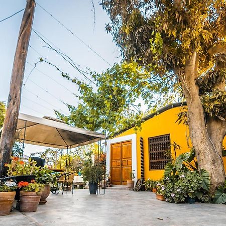 Luchy'S Country House Hostel Ίκα Εξωτερικό φωτογραφία