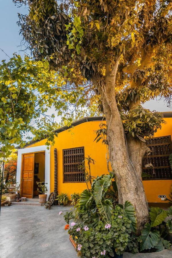 Luchy'S Country House Hostel Ίκα Εξωτερικό φωτογραφία