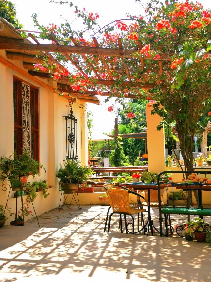 Luchy'S Country House Hostel Ίκα Εξωτερικό φωτογραφία