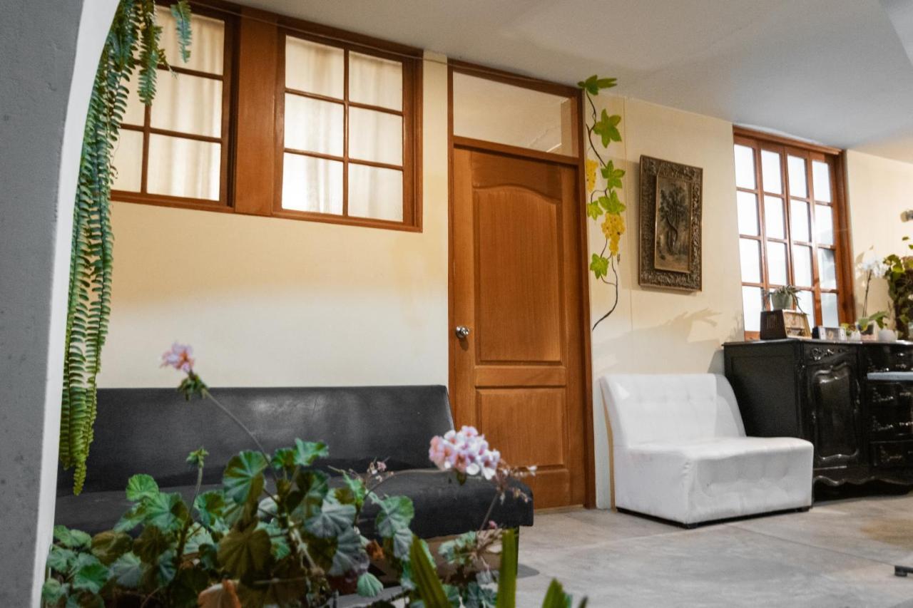 Luchy'S Country House Hostel Ίκα Εξωτερικό φωτογραφία