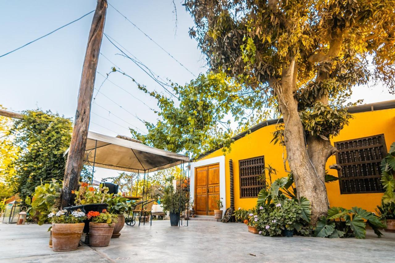 Luchy'S Country House Hostel Ίκα Εξωτερικό φωτογραφία